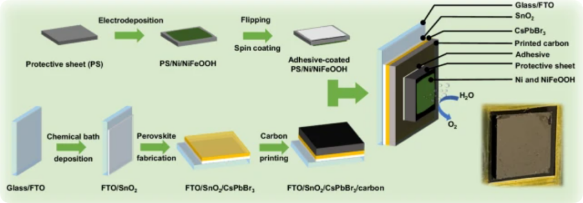 Schematic diagram of the process of preparing perovskite photoanode from glassy carbon and light absorber